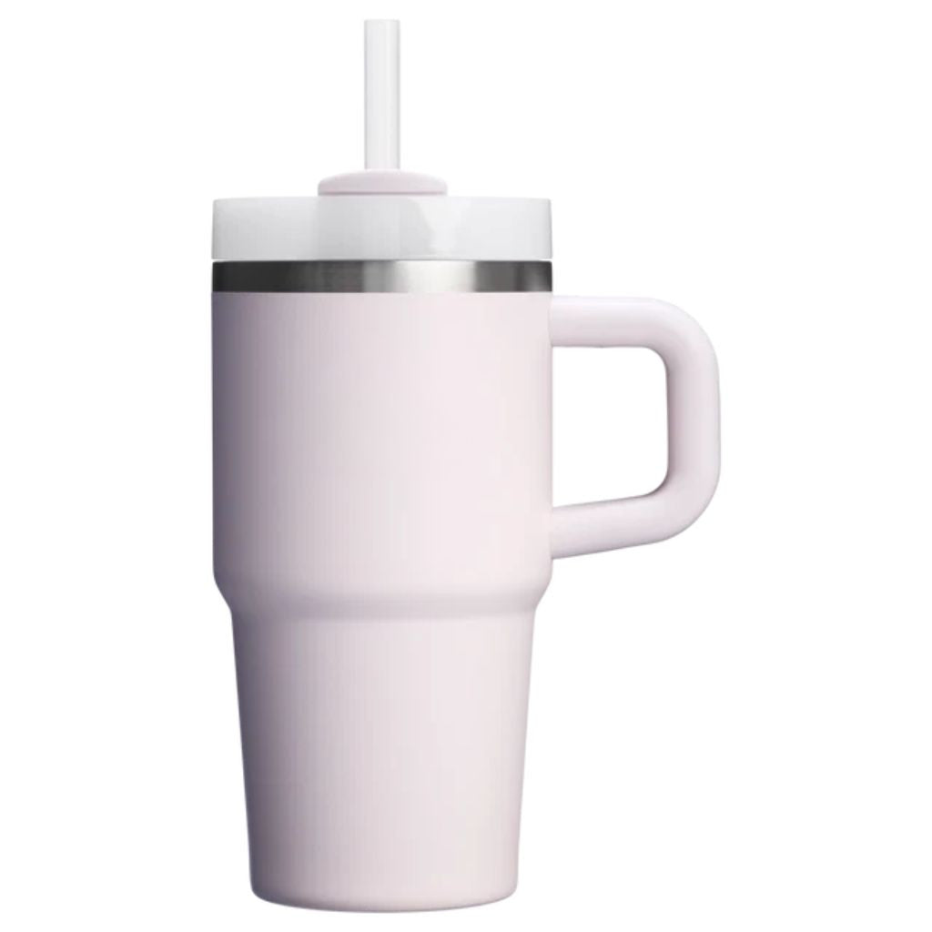 Insulated Stainless Steel Travel Tumbler Handle Straw Lid