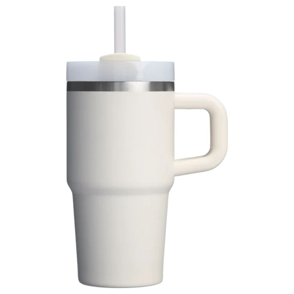 Insulated Stainless Steel Travel Tumbler Handle Straw Lid