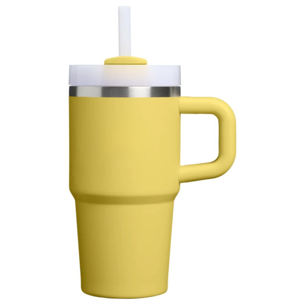 Insulated Stainless Steel Travel Tumbler Handle Straw Lid