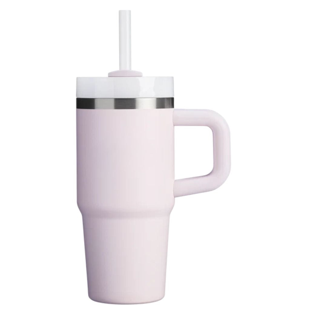 Insulated Stainless Steel Travel Tumbler Handle Straw Lid