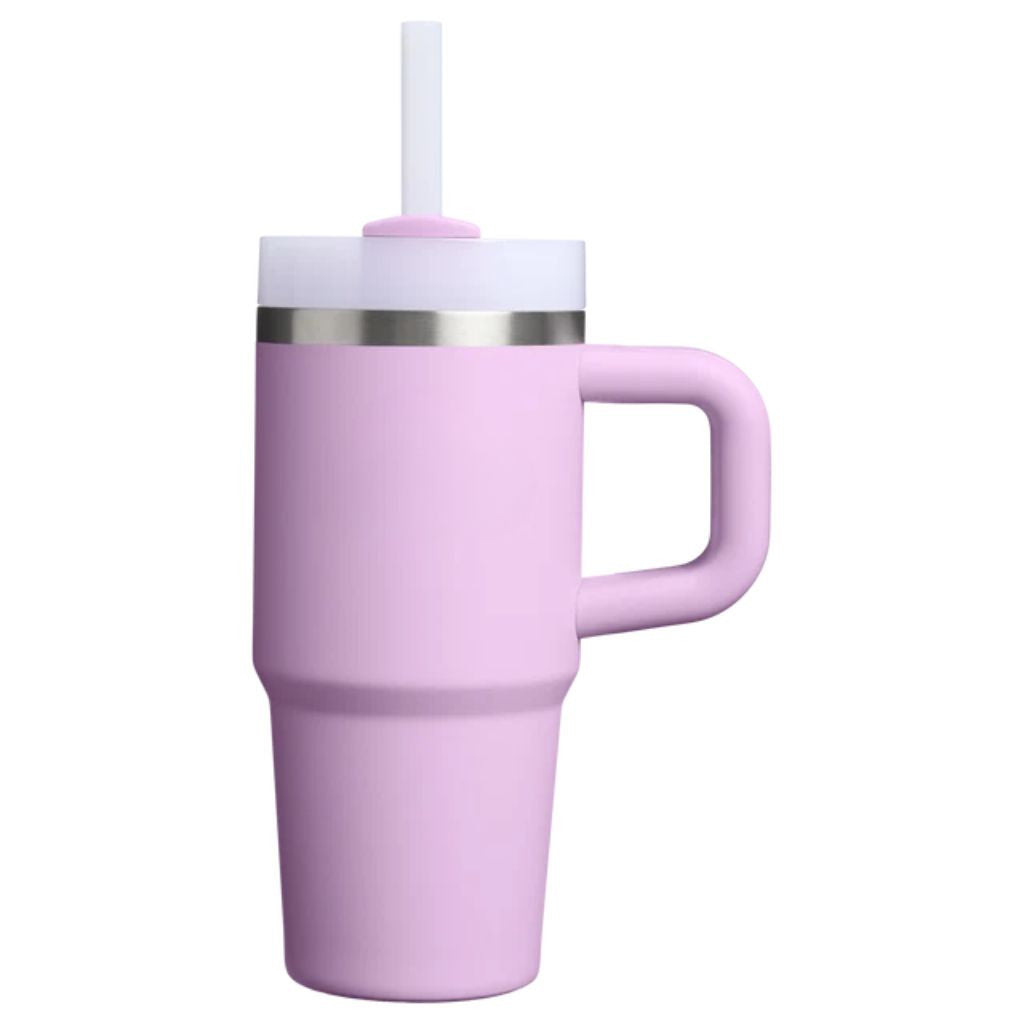 Insulated Stainless Steel Travel Tumbler Handle Straw Lid
