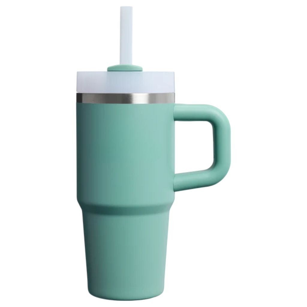 Insulated Stainless Steel Travel Tumbler Handle Straw Lid