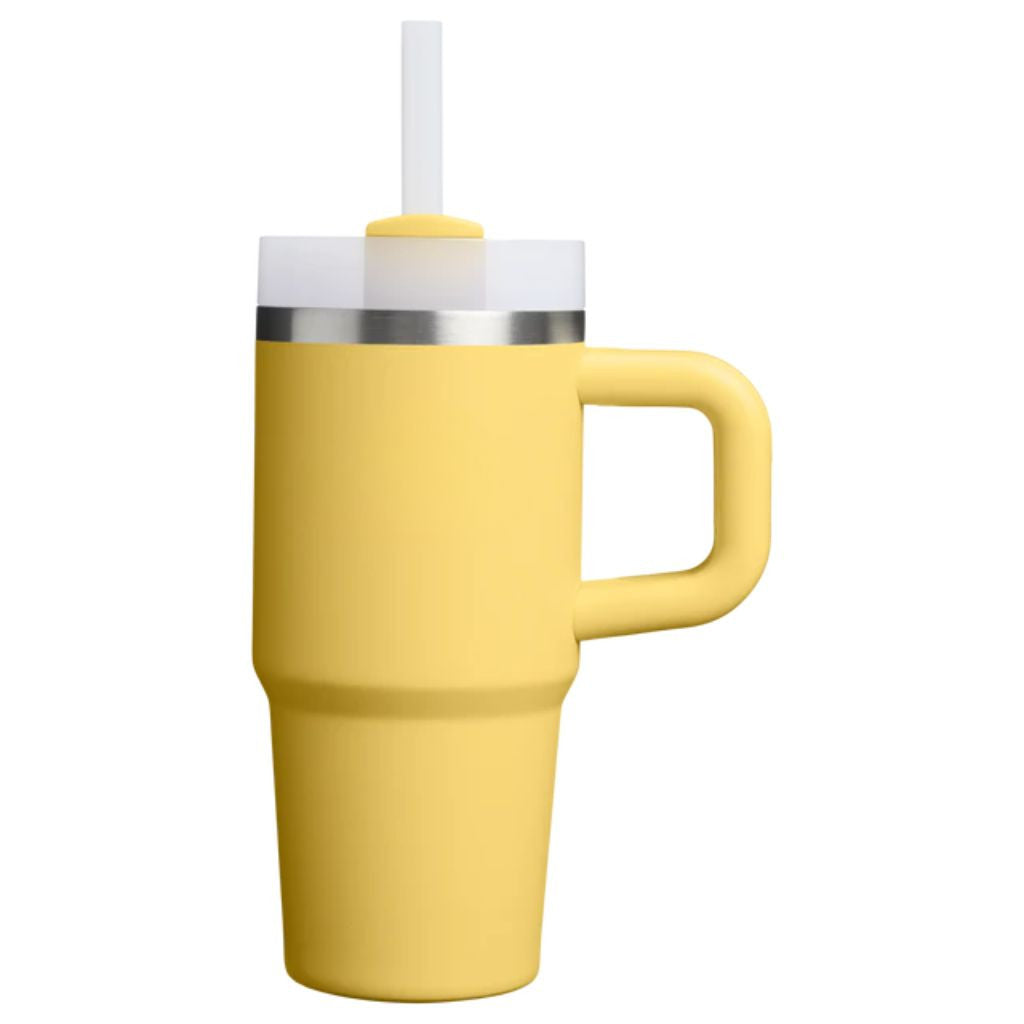 Insulated Stainless Steel Travel Tumbler Handle Straw Lid