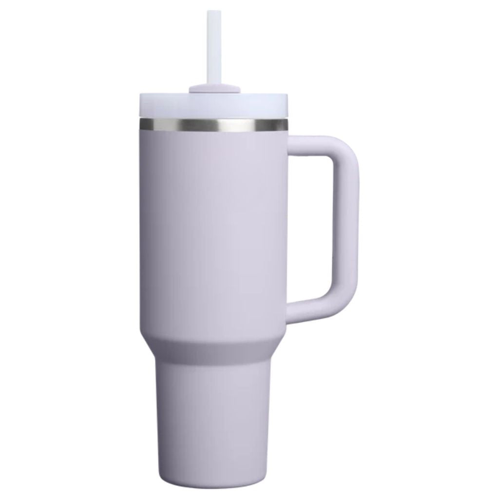 Insulated Stainless Steel Travel Tumbler Handle Straw Lid