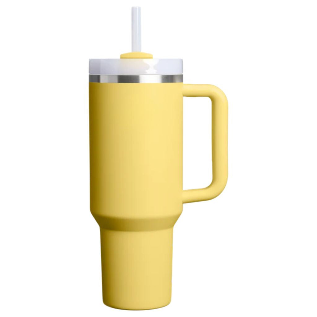 Insulated Stainless Steel Travel Tumbler Handle Straw Lid