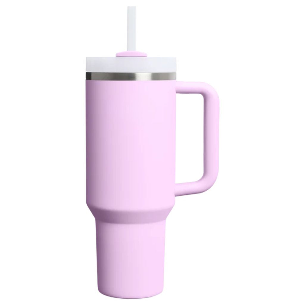 Insulated Stainless Steel Travel Tumbler Handle Straw Lid